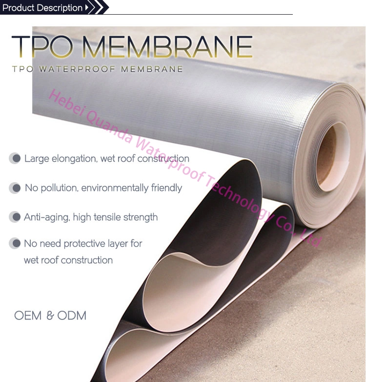 Waterproof Tpo Roofing Membrane Tpo Roof Membrane Waterproof Membrane Sheet Roll Building Material